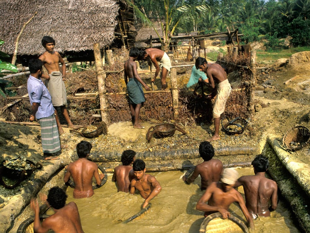 A group of men engaged in gem mining activities in a pond in Sri Lanka